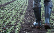 Loneliness is a key factor in feeling depressed, farmers confirm