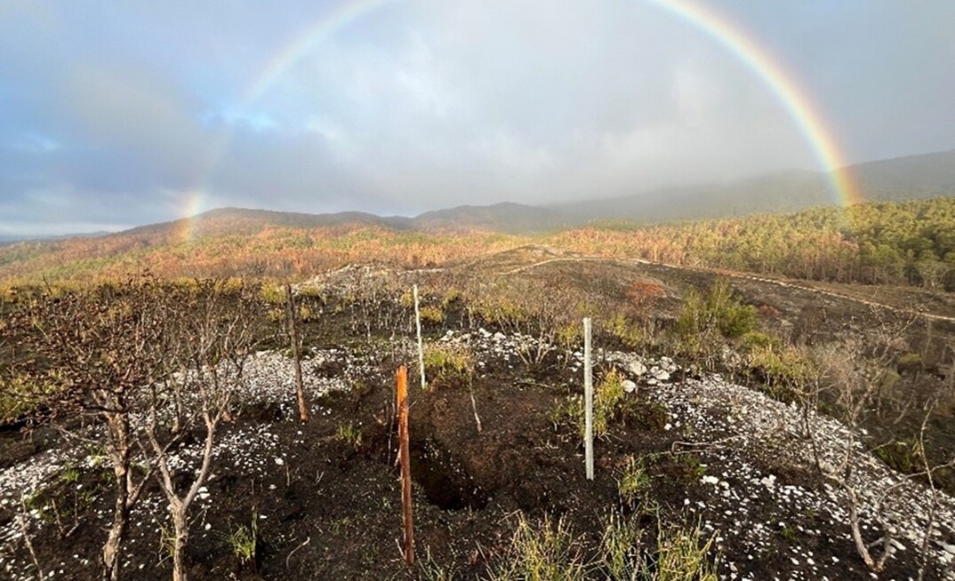 Legacy shaft site, Eureka mine, West Coast, Tasmania.