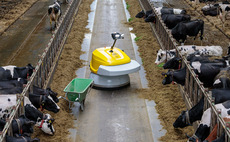 What you need to know about the FETF 2026 fund