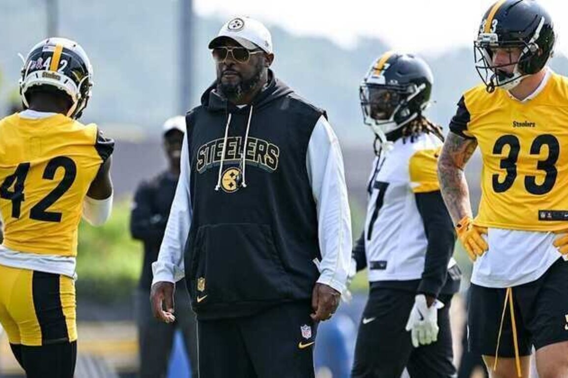 Tomlin takes first step to improving defense