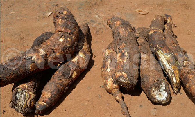 Food prices still on the rise Food prices still on the rise