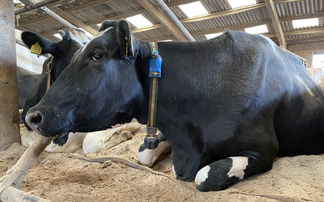 Water company launches emergency supply support for livestock farmers