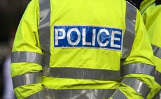 Police investigate theft of 63 pregnant ewes