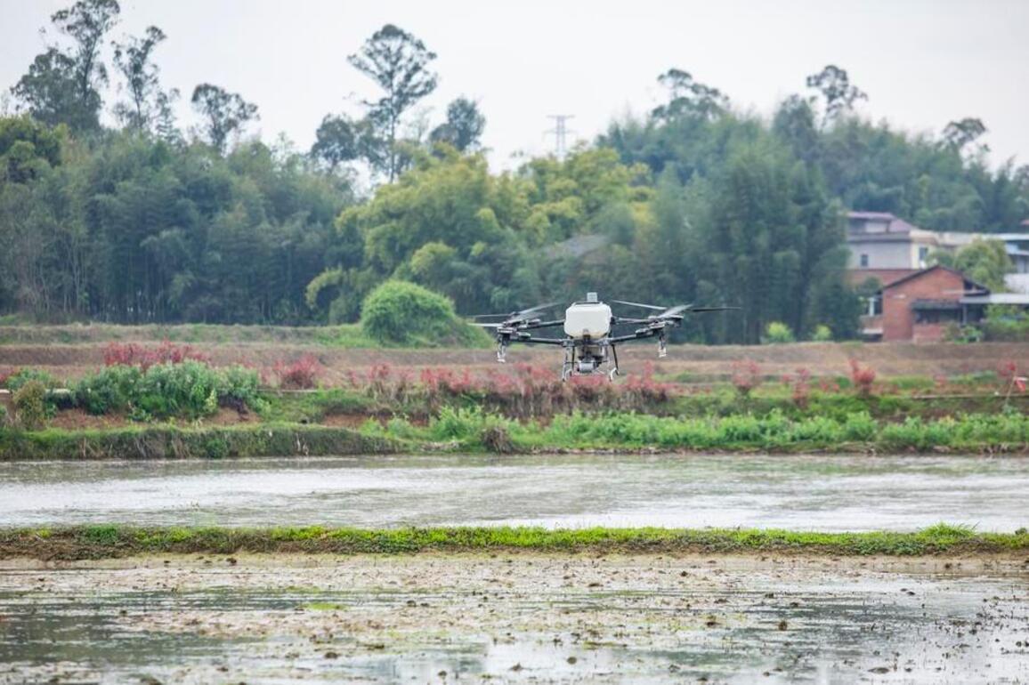 Smart technologies breathe new life into China's tough mountain agriculture