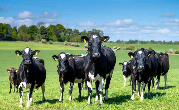 Partner Insight: Date and records - Your allies in udder health management