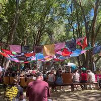 Fork Fest 2025 is a Musical Oasis - The Daily Utah Chronicle