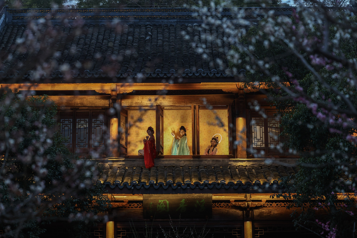 CHINA-ZHEJIANG-HANGZHOU-PLUM BLOSSOMS-SPECIAL NIGHT TOUR (CN)