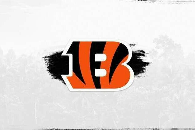 Bengals 2025 Season Schedule Announced
