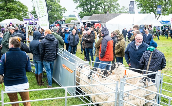 Record crowds flocked to NSA North Sheep 2025 despite downpours