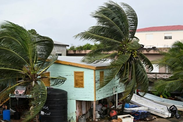 Hurricane Lisa Hits Belize Near Main Port, Uprooting Trees