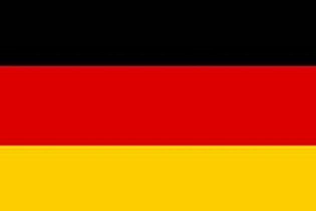 'Germany's AfD party boycotted by media ahead of elections'