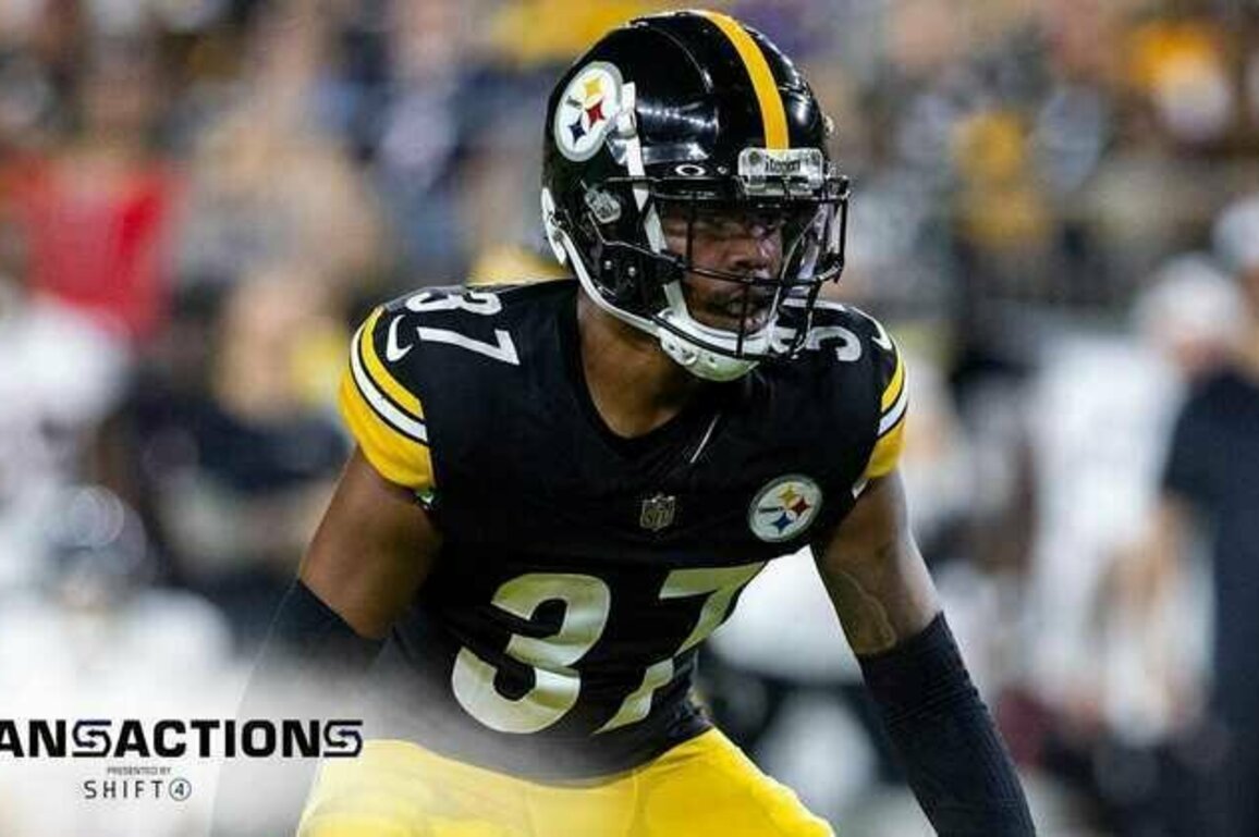 Ravens Sign Veteran Defensive Back