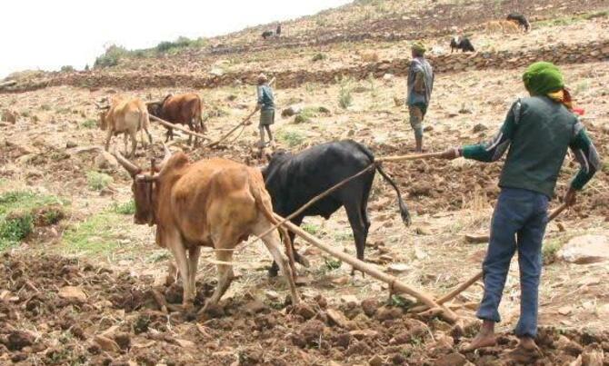 IFAD to help families out of climate shocks IFAD to help families out of climate shocks