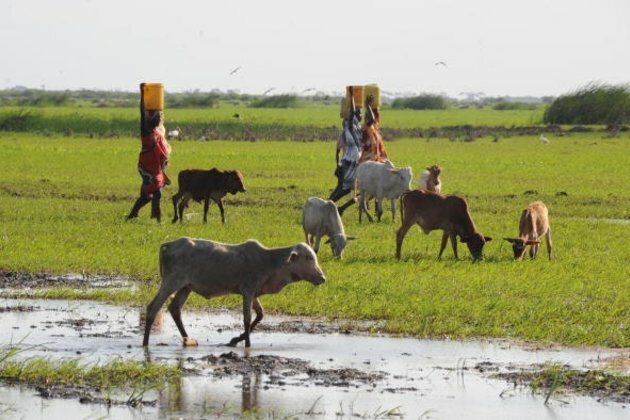 We modelled the effects of climate change on Kenya&#039;s Tana River Basin