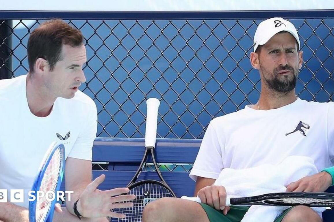 Novak Djokovic says he 'couldn't get more' out of Andy Murray coaching partnership