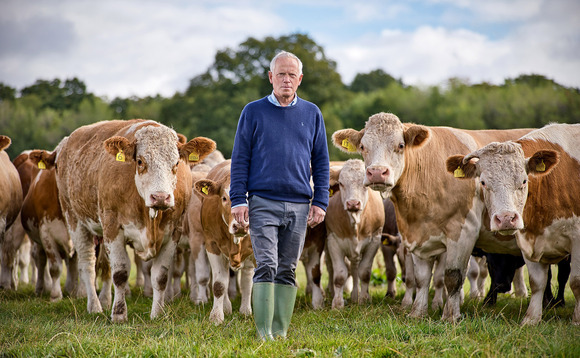 Why Simmental cattle are paying their way on one Herefordshire mixed farm