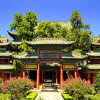 CHINA-SHANXI-ANCIENT TREES-PROTECTION (CN)