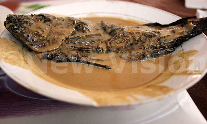 Soroti lunch on the rocks Soroti lunch on the rocks