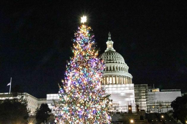 Christmas tree from West Virginia to adorn West Lawn of US Capitol