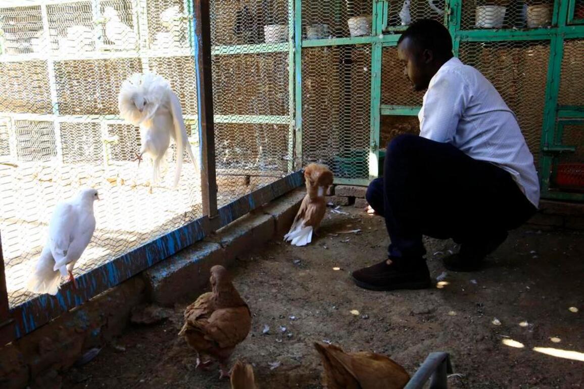 War pushes Sudanese from cities to fields, sparking modest rural revival
