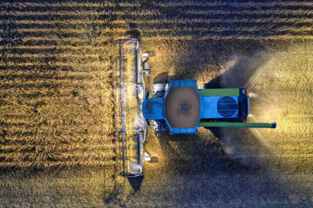 Bulgarian Farm Output Rises Amid Falling EU Prices in Late 2025