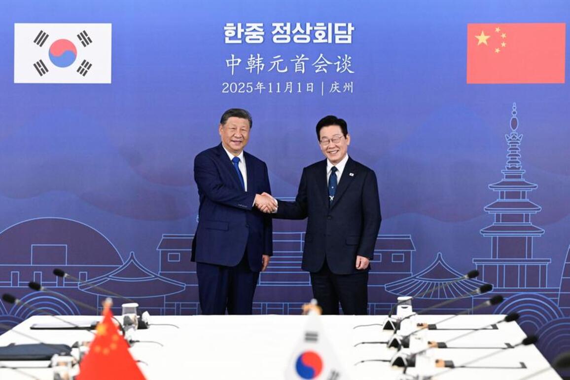 Xi says China willing to work with S. Korea for steady development of strategic cooperative partnership