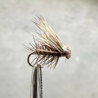 New Mexico trout love caddisflies