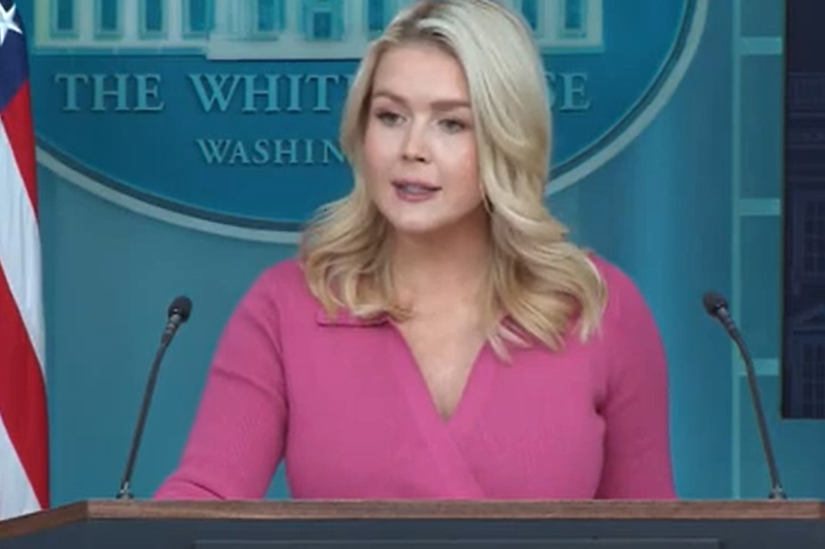 "Trump administration looking into it": WH Press Secy Leavitt on claims of Russian "interference" in 2016 polls