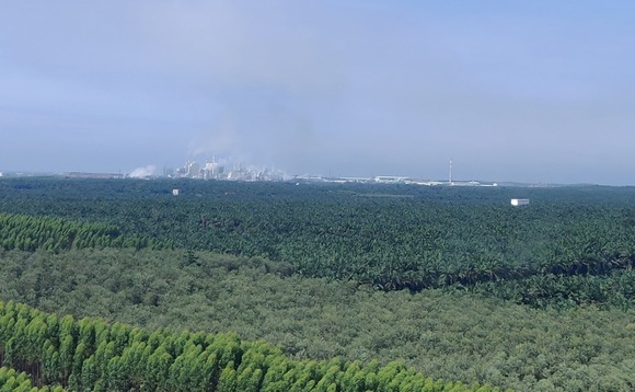 Wood plantations in Sumatra with APRIL's Kerinci industrial hub on the horizon | Credit: Michael Holder