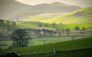 New report investigates realities of rural racism 