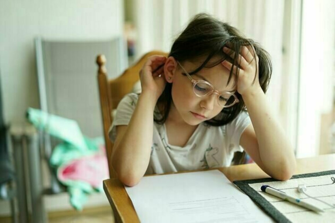 Curious Kids: why do we need to do homework?