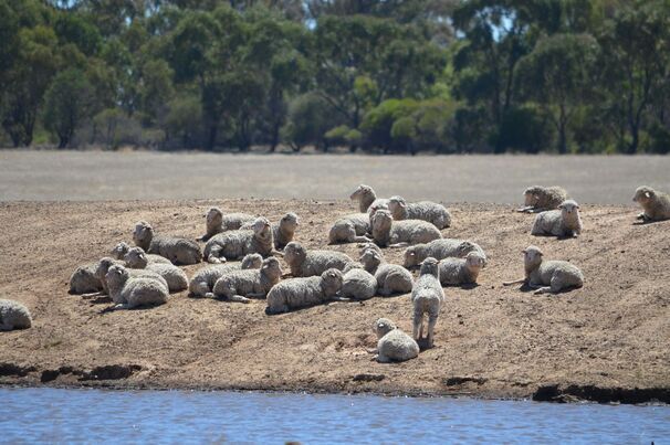 March saw downpours in many parts of south-eastern Australia, replenishing ground water supplies. 