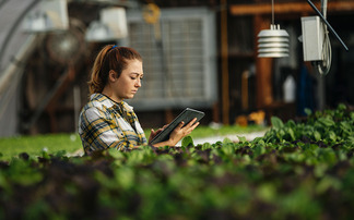 New Employer Pays Principle could force growers out of business, says study