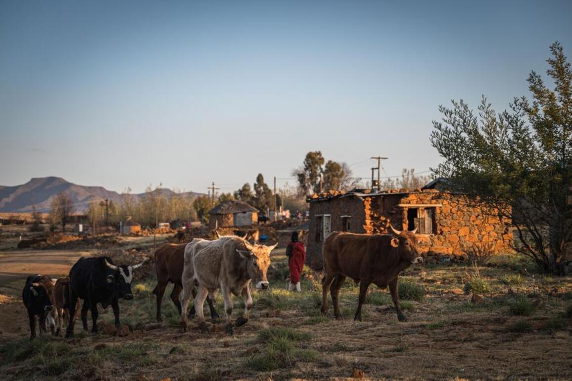 (Hello Africa) Steep U.S. tariff hits Lesotho's textile industry hard