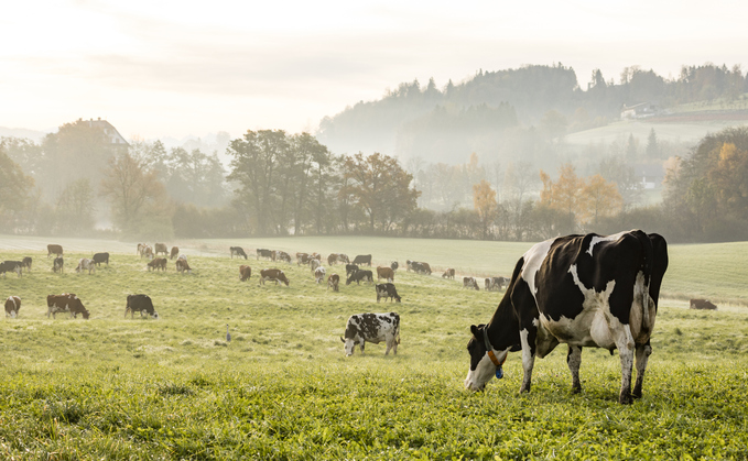 Calls mount for action on methane ahead of COP27 Climate Summit