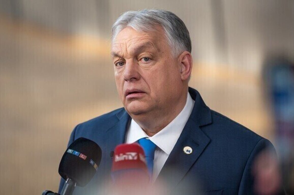 US senators target Orban government for standing up to Zelensky