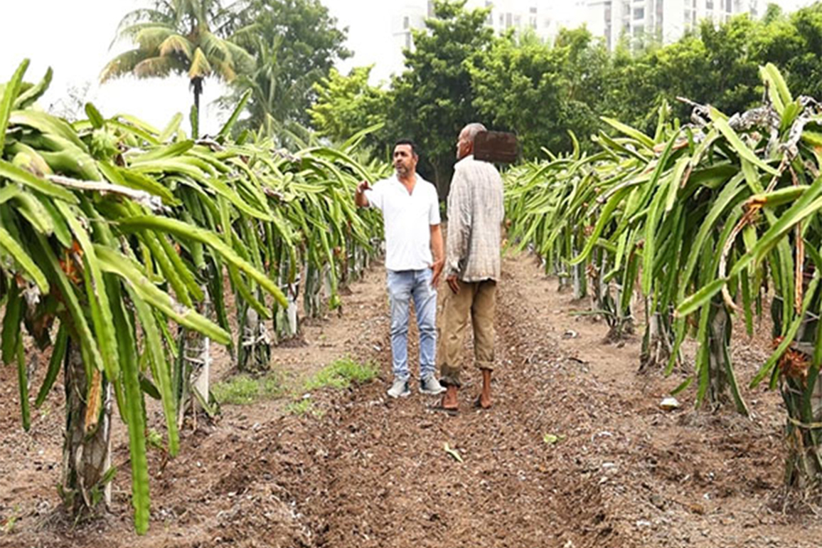 India, Israel sign agreement to boost sustainable agricultural technologies