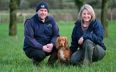Northern Ireland farmer makes his mark in Beltex breed  