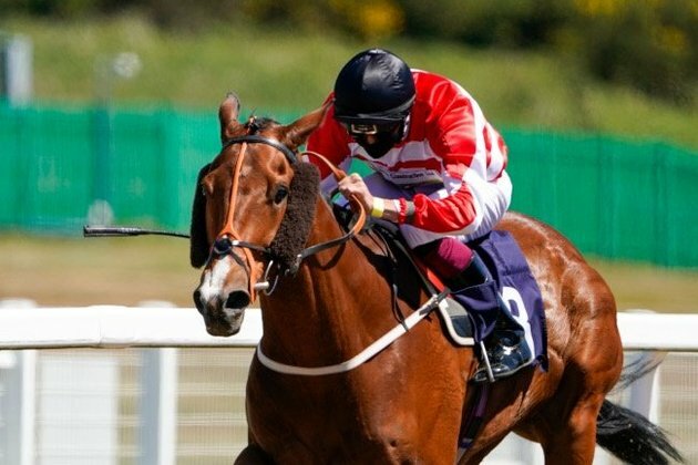Horses beaten by pigeons to the sporting start line in England