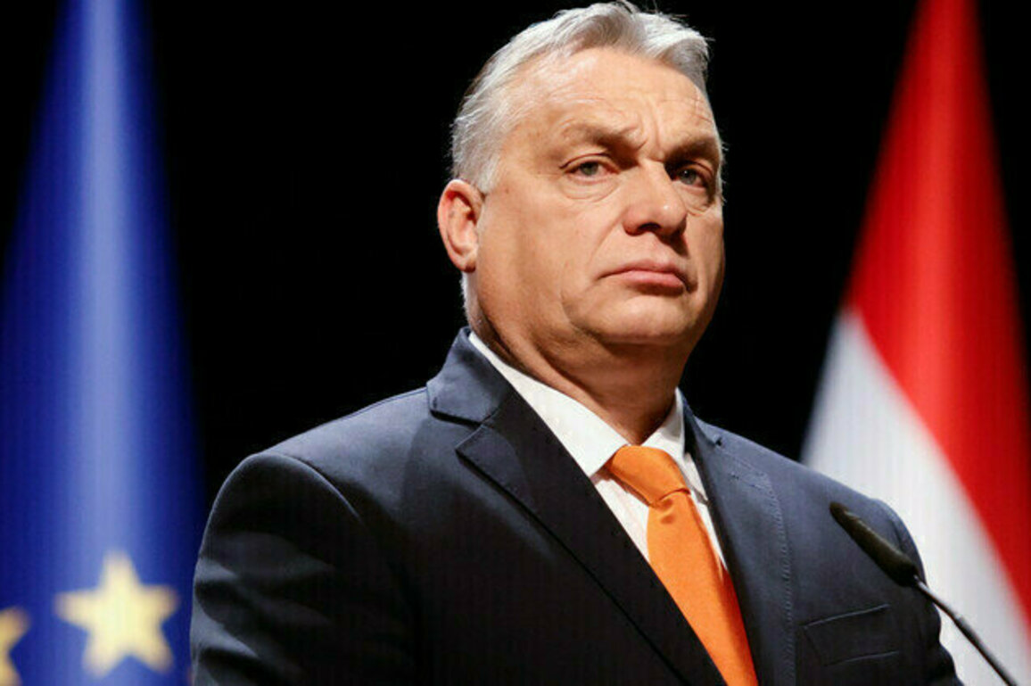 Ukraine conflict could drag on  Orban