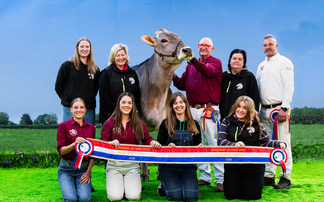 Brown Swiss cow scoops first coloured breeds championship at Borderway UK Dairy Expo 