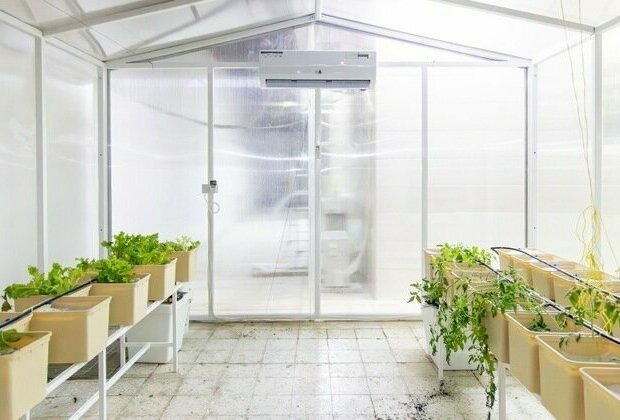 AJBWC completes second plastic greenhouse project, encourages members to benefit from initiative