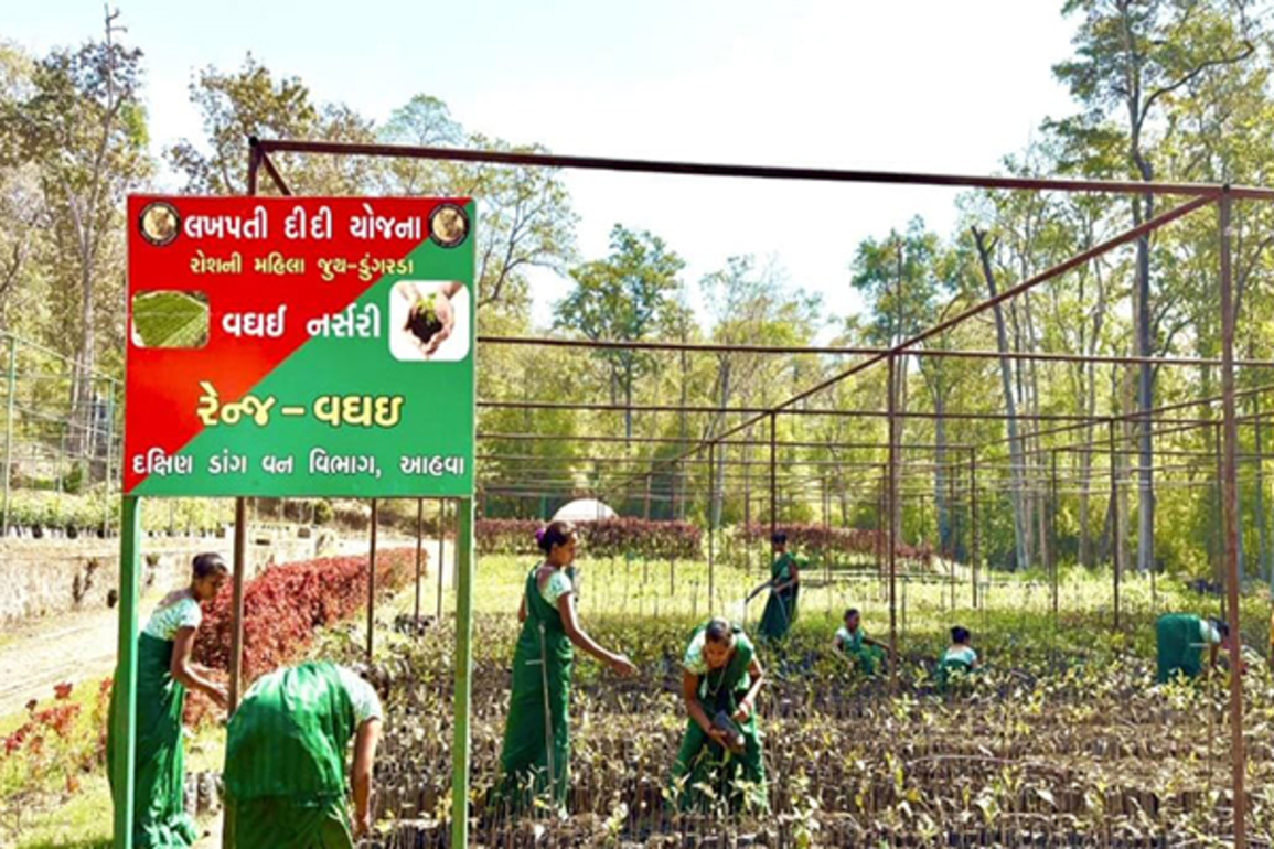 Lakhpati Didi Yojana uplifts tribal women in Gujarat's South Dang