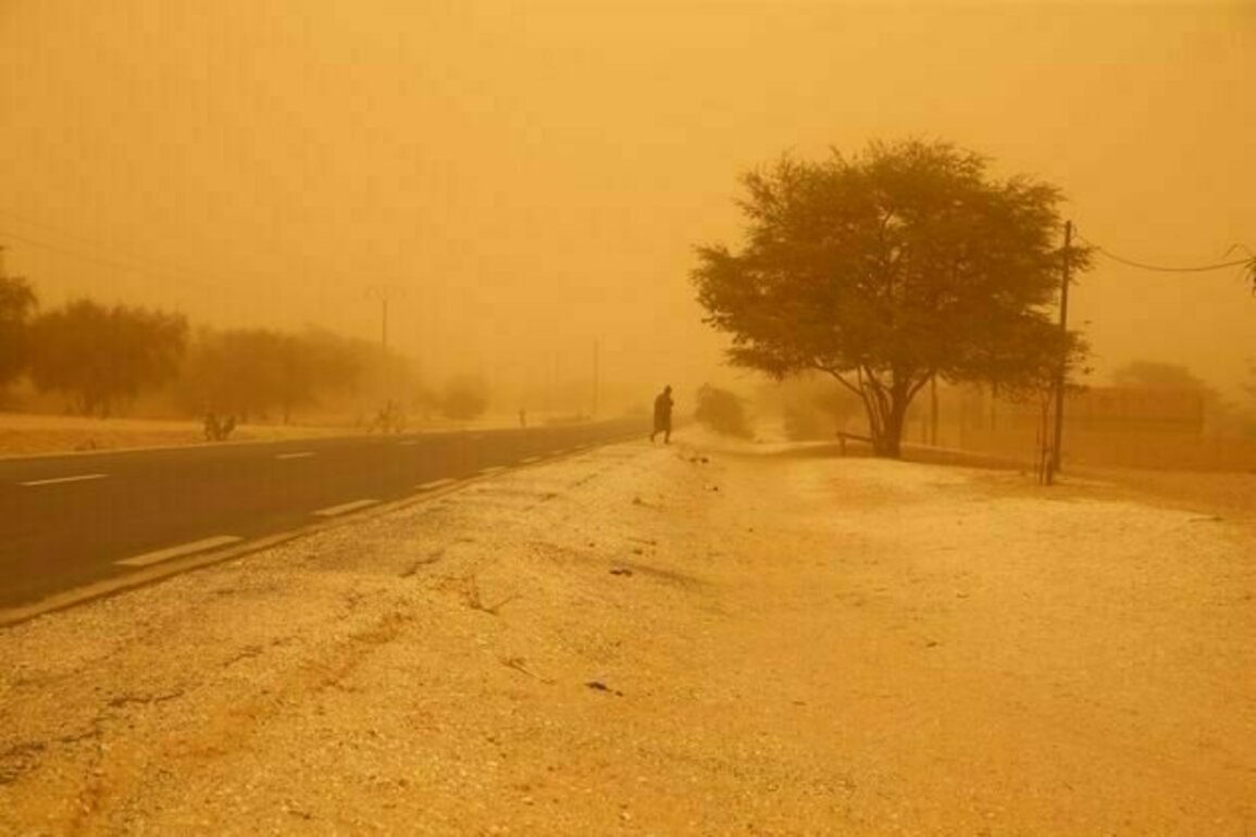 Harmattan : les defis sanitaires d'un vent sec et poussiereux en Afrique de l'Ouest
