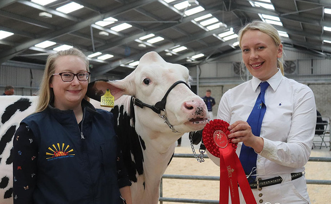 A passion for Holstein's takes young farmer to the top