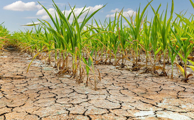 The National Drought Group is urging people to think about farmers as heatwave looms