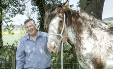 Clydesdale world champion heading to Royal Highland Show