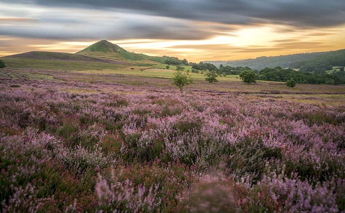 Oxford Real Farming Conference: Grassroots must be driver of change