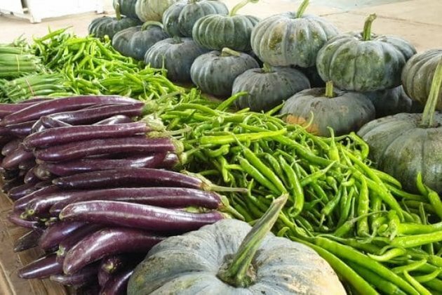 Nograles pushes for &#039;vegetito, vegetita&#039;culture