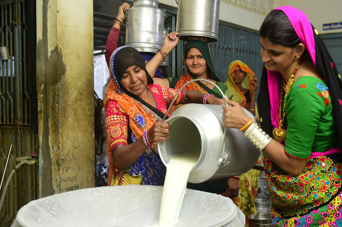 Women's empowerment in animal husbandry: Lakhs of women drive Gujarat's dairy revolution